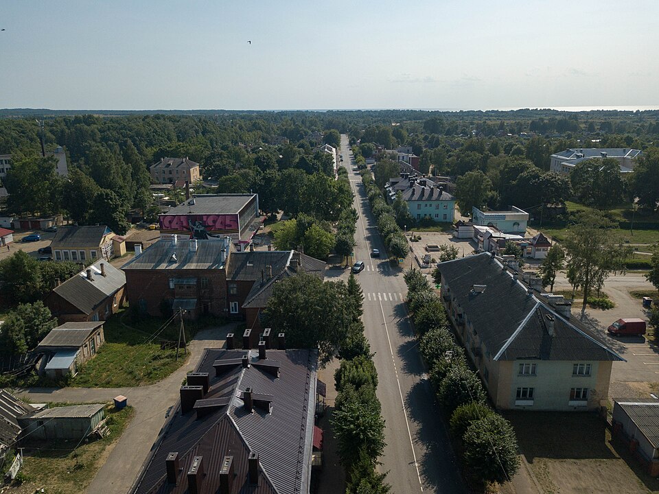 Гдов с воздуха: городские улицы и застройка
