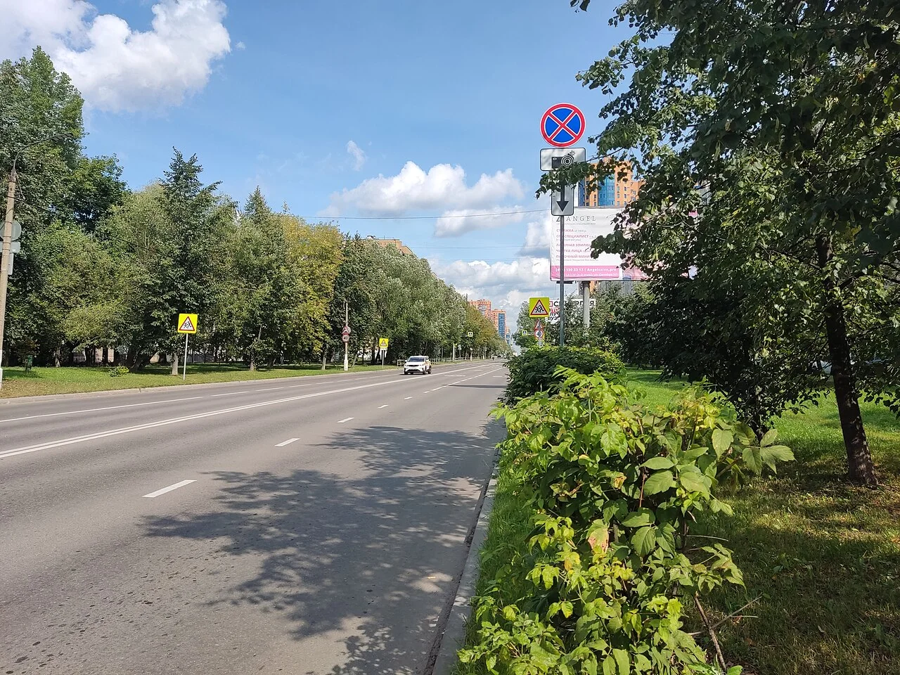 Юбилейный проспект в Реутове, архивный вид